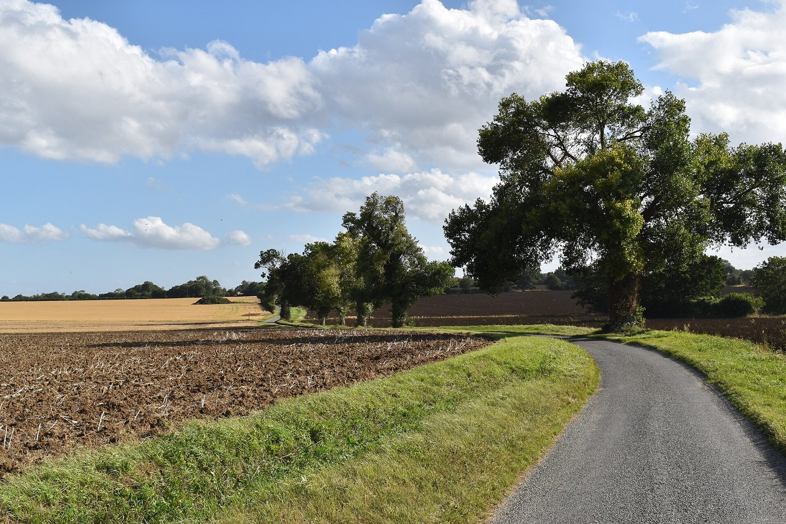 Agriculture and Food
