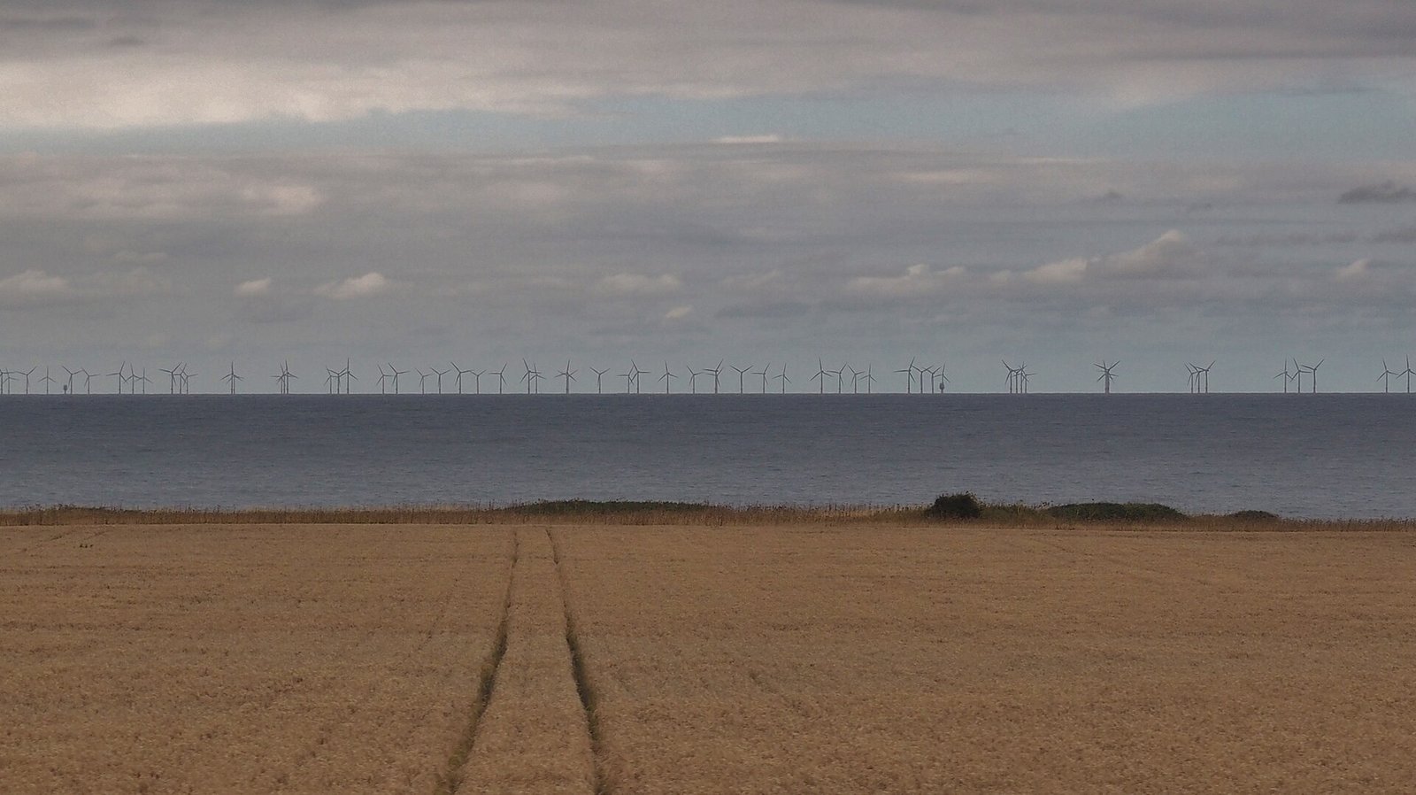 An offshore wind farm